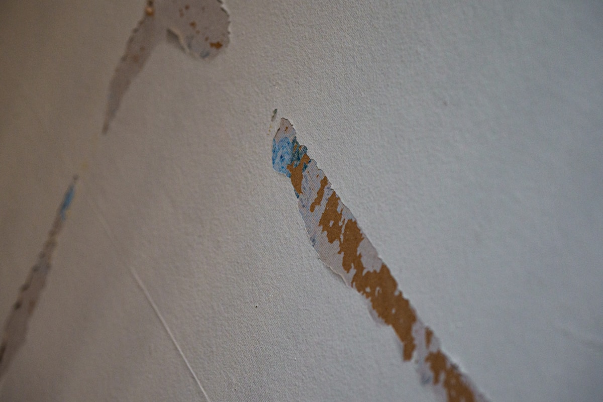 Water Extraction service in Lawrence, MA